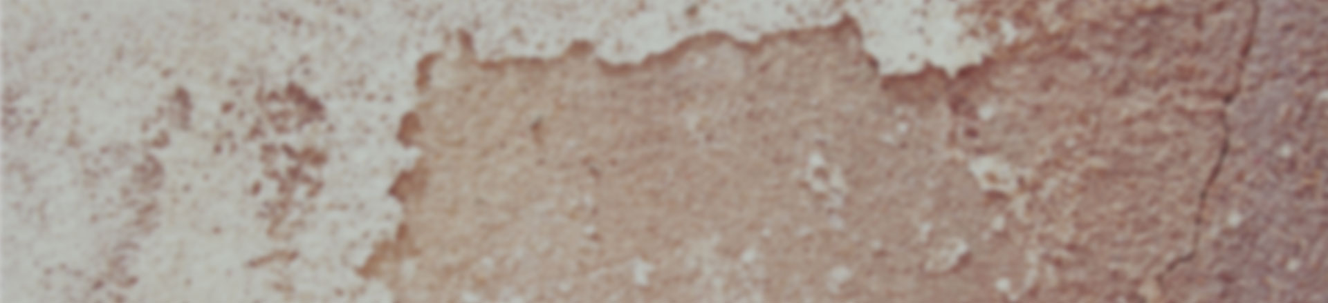 服务器攻击软件